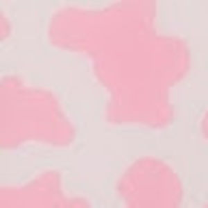 Meet your Posher, Nora